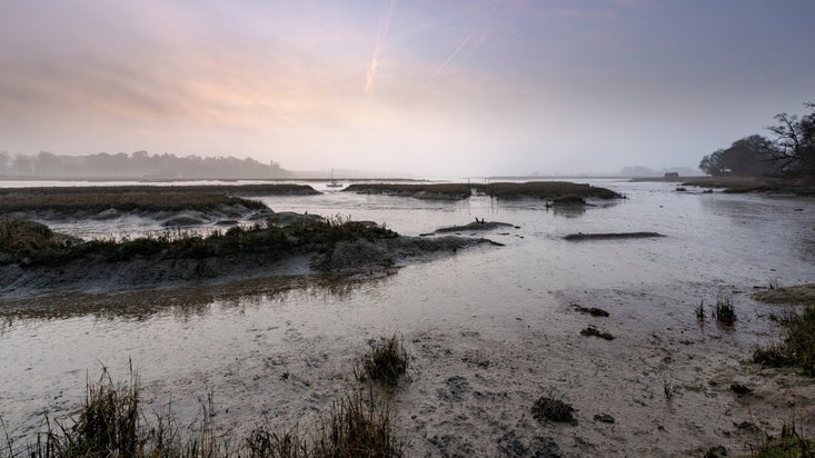A misty early morning dawn picture of a lake with silhouetted reeds growing in the water and a dusky lilac sky